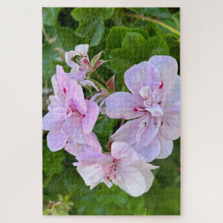 Bleke Roze Klimop Geranium, Oakland Legpuzzel