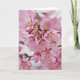Bleke Roze Sakura Kersenbloesem Kaart