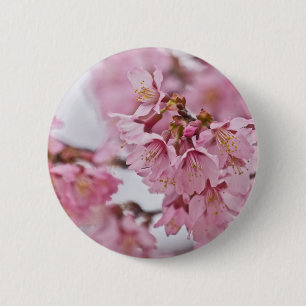 Bleke Roze Sakura Kersenbloesem Ronde Button 5,7 Cm
