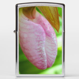 Bleke Roze Vrouwenschoen Orchidee Bloem Close-up