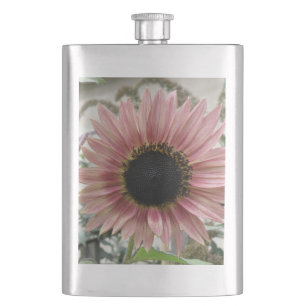 Bleke roze zonnebloem flacon