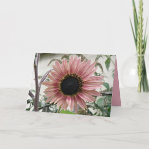 Bleke roze zonnebloem Profiteer snel op maat Kaart