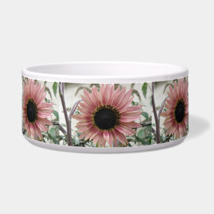 Bleke roze zonnebloem voerbakje