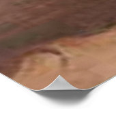 Bleke Rozen Poster (Hoek)