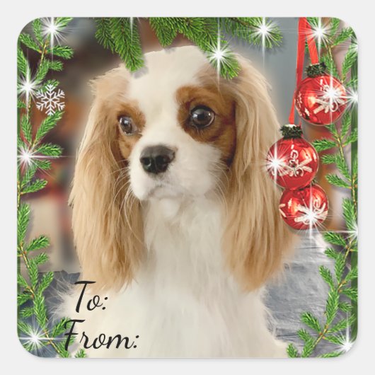 Blenheim Cavalier Kerstcadeau Label Sticker (Voorkant)