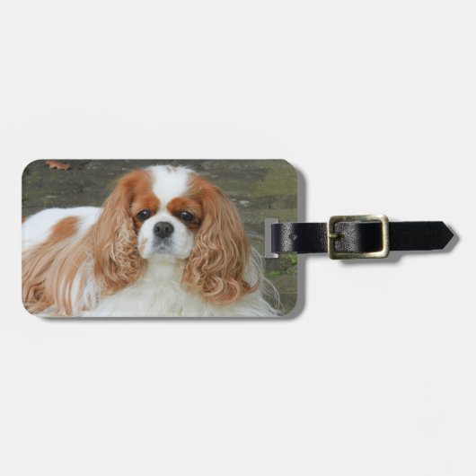 Blenheim Cavalier King Charles Puppy Dog Bagagelabel (Voorkant horizontaal)