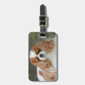 Blenheim Cavalier King Charles Puppy Dog Bagagelabel (Voorkant verticaal)
