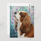 Blenheim Cavalier King Charles Spaniel Briefkaart (Voorkant / Achterkant)
