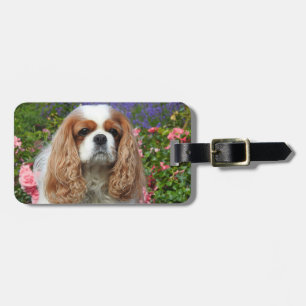 Blenheim Cavalier King Charles Spaniel Dog Bagagelabel