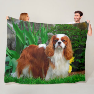 Blenheim Cavalier King Charles Spaniel Dog Fleece Deken