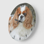 Blenheim Cavalier King Charles Spaniel Dog Grote Klok (Hoek)