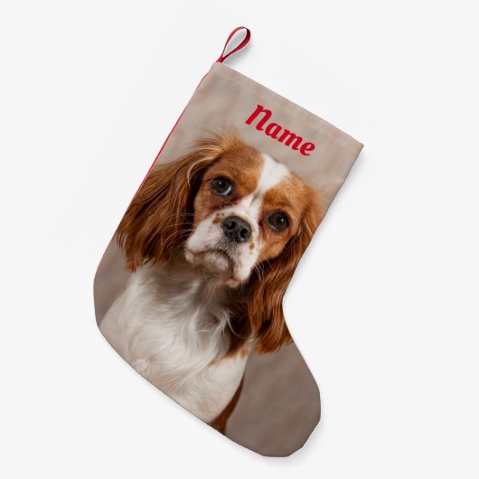 Blenheim Cavalier King Charles Spaniel Dog Kleine Kerstsok (Voorkant (Hangend))