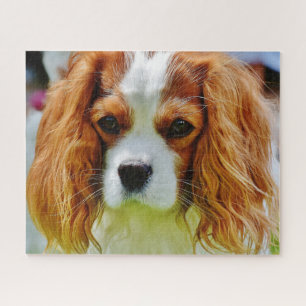 Blenheim Cavalier King Charles Spaniel Dog Legpuzzel