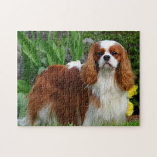 Blenheim Cavalier King Charles Spaniel Dog Legpuzzel