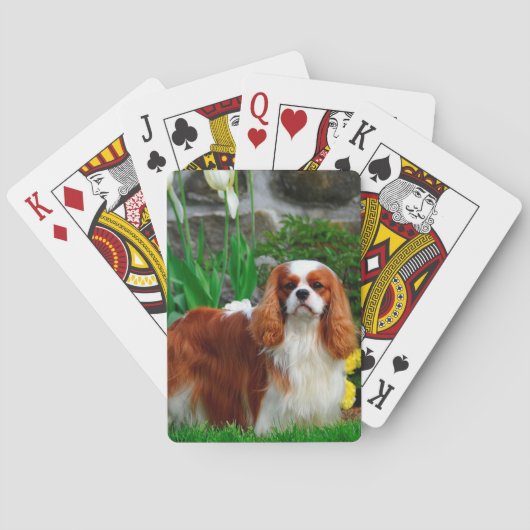 Blenheim Cavalier King Charles Spaniel Dog Pokerkaarten (Achterkant)