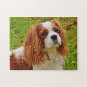 Blenheim Cavalier King Charles Spaniel Puppy Dog Legpuzzel