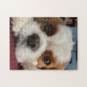 Blenheim Cavalier  King Charles Spaniel  Puzzle (Horizontal)