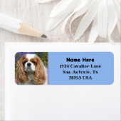 Blenheim Cavalier King Charles Terugkeer Adres Etiket (Insitu)