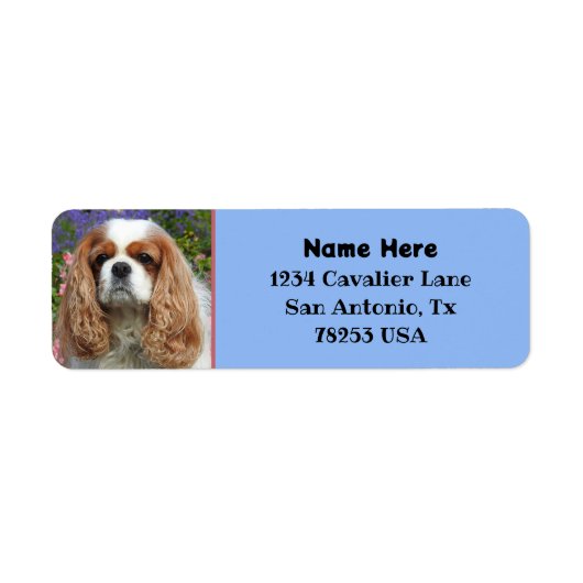 Blenheim Cavalier King Charles Terugkeer Adres Etiket (Voorkant)
