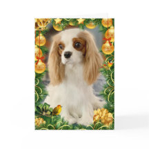 Blenheim Cavalier Spaniel Holiday Card