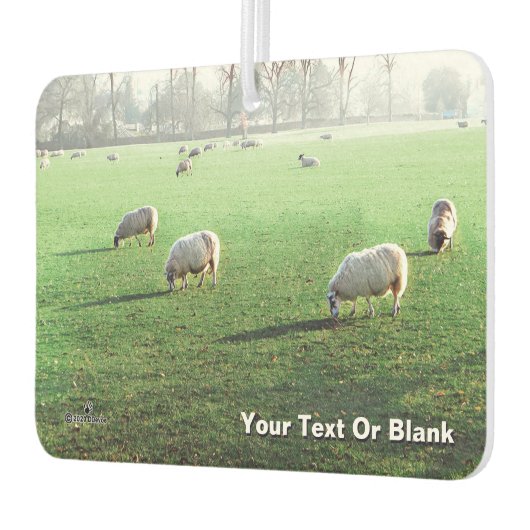 Blenheim Palace Schaap Luchtverfrisser (Links)