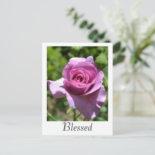 Blessings Roos Briefkaart (Staand voorkant)