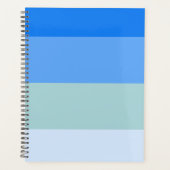 Bleu (Devant)