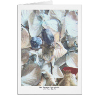 Bleu cependant une fenêtre pluvieuse