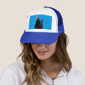 Bleu Chicken Strut, Casquette (En situation)