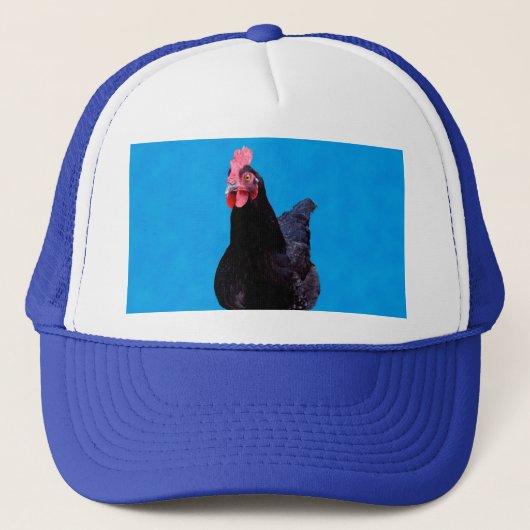 Bleu Chicken Strut, Casquette (Devant)