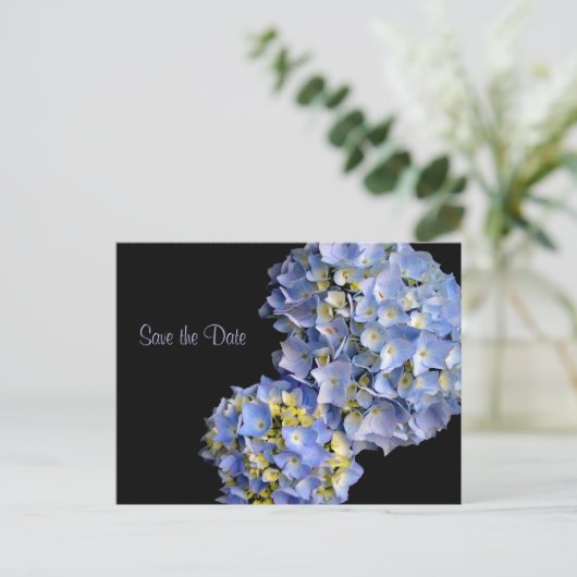 Bleu clair Hydrangeas Floral Enregistrer les carte (Debout devant)