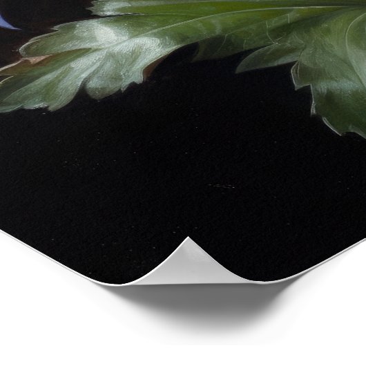 Bleu Columbine Fleurs Art Imprimer Poster (Coin)