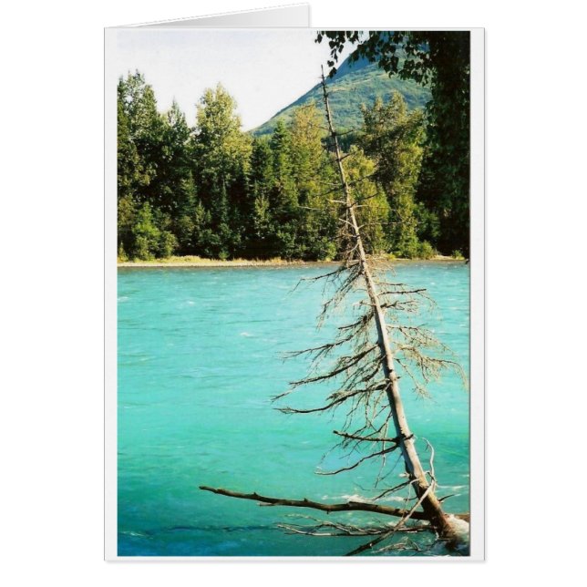 Bleu de rivière de Kenai (Devant)