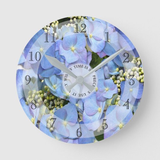 Bleu délicat Lacecap Horloge ronde Hydrangea (Recto)