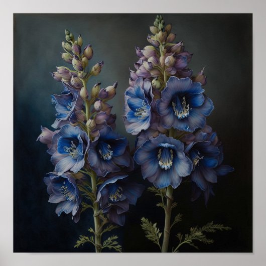 Bleu Delphinium Fleurs Art Imprimer Poster (Devant)