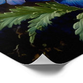 Bleu Delphinium Fleurs Art Imprimer Poster (Coin)