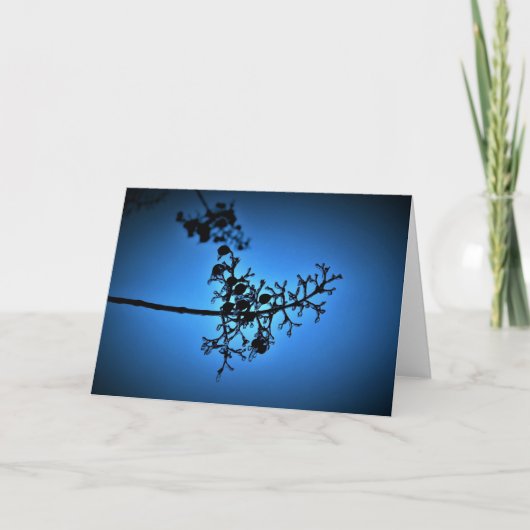 Bleu d'hiver, carte (Devant)