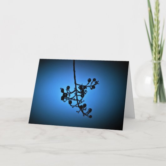 Bleu d'hiver, carte (Devant)