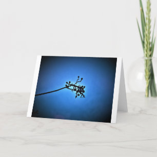 Bleu d'hiver, carte