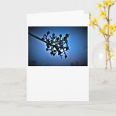 Bleu d'hiver, carte (Fleur jaune)