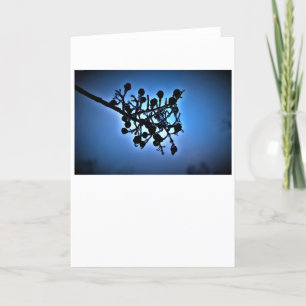 Bleu d'hiver, carte