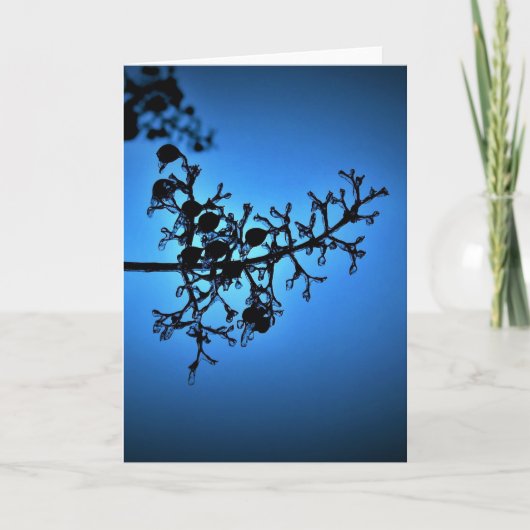 Bleu d'hiver, carte (Devant)