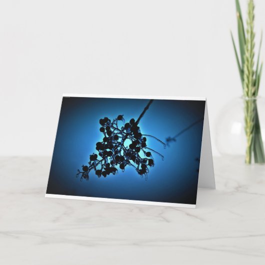 Bleu d'hiver, carte (Devant)