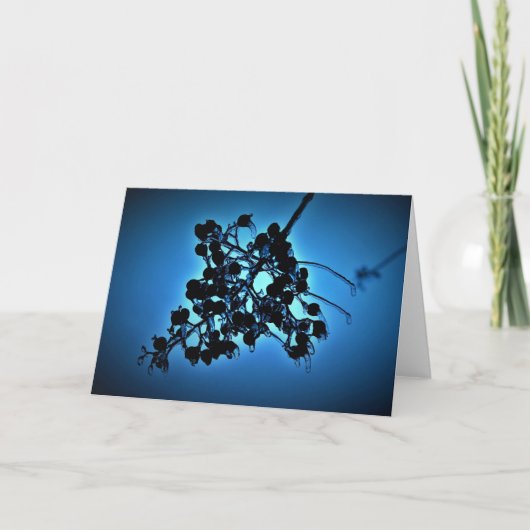Bleu d'hiver, carte (Devant)