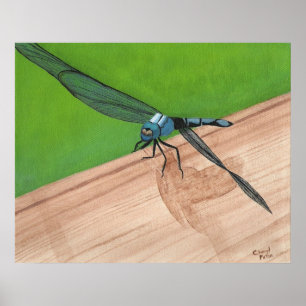 Bleu dragonfly Insect sur une affiche ferroviaire