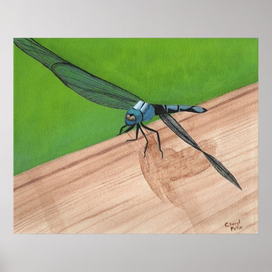 Bleu dragonfly Insect sur une affiche ferroviaire (Devant)