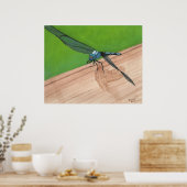 Bleu dragonfly Insect sur une affiche ferroviaire (Cuisine)