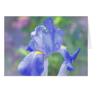 Bleu en pastel - iris