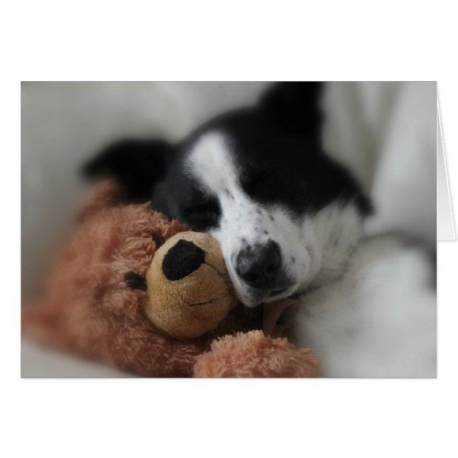 Bleu et ours (Devant Horizontal)