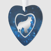 Bleu étoile feux Bordure Collie Chien (devant)